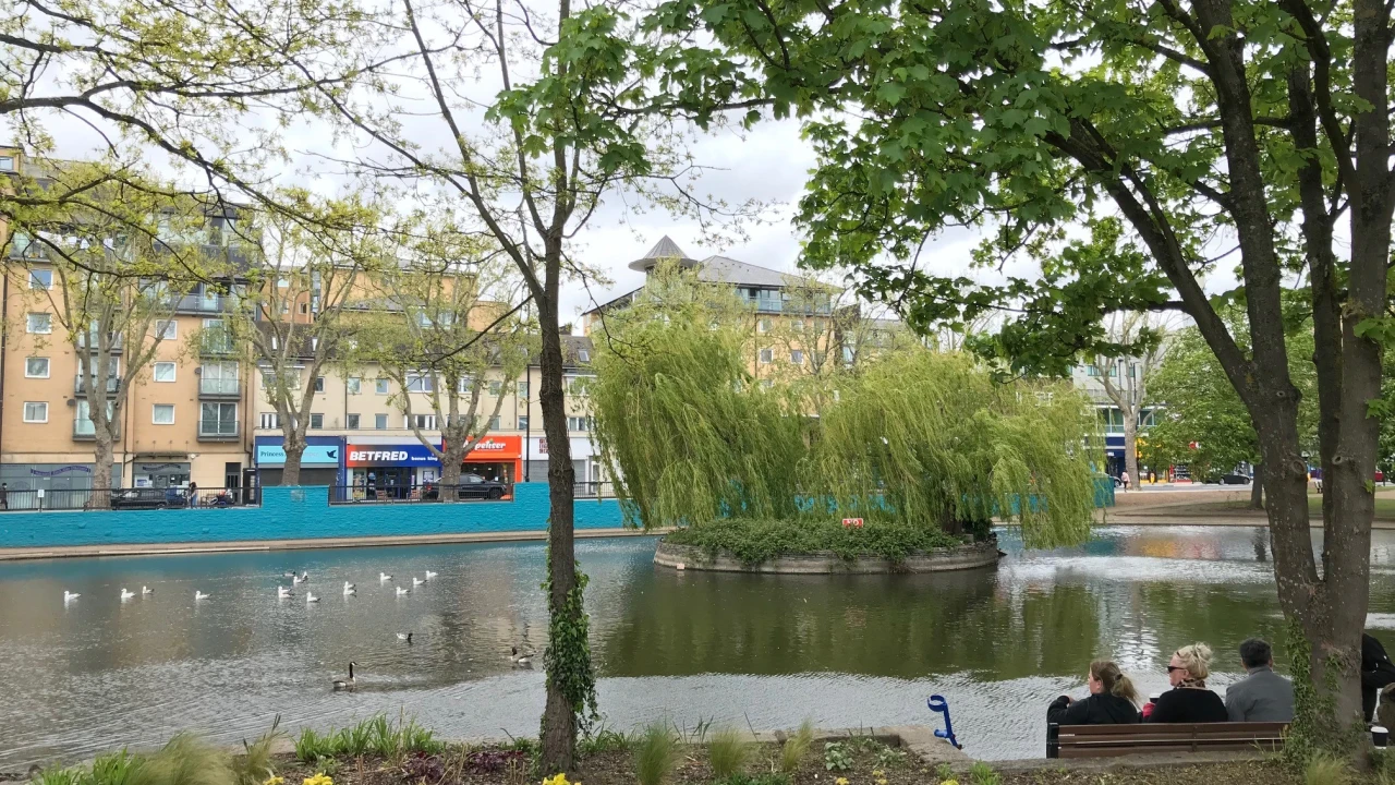 Feltham Lake